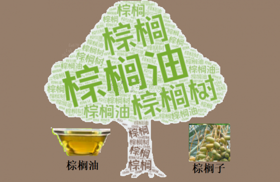 马棕油跟随大连棕榈油录得二连涨，第二季度或升至4859